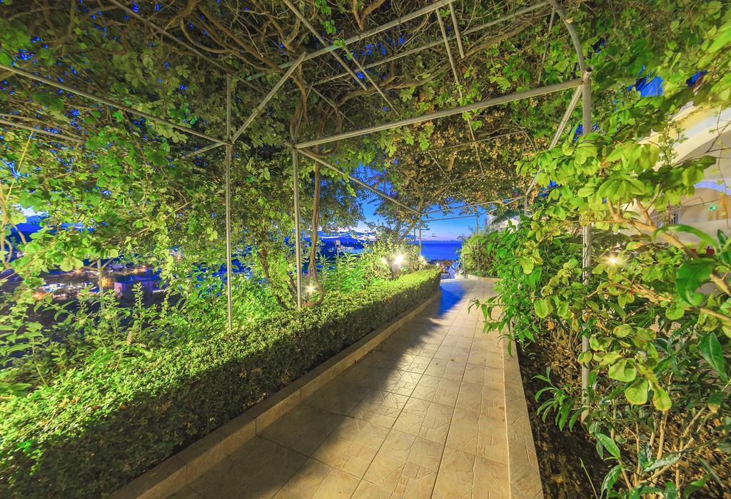 Zante Aparthotel 3*